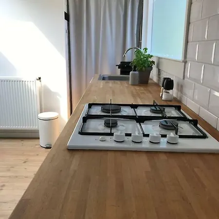 Lägenhet Studio Dichtbij Zandvoort